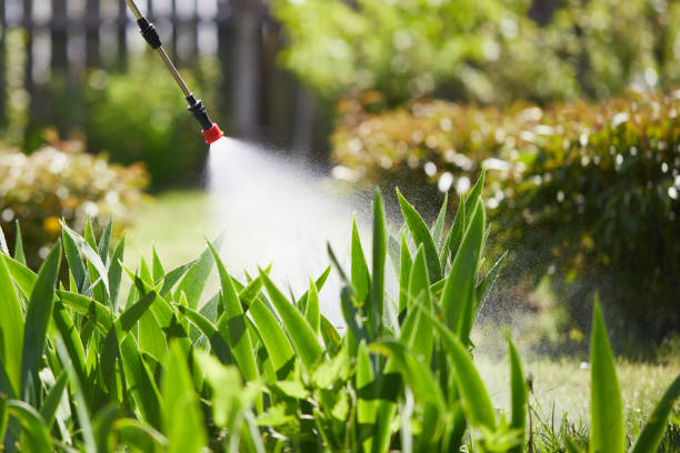 24/7 Emergency Ant Control experts in Millersburg, OH