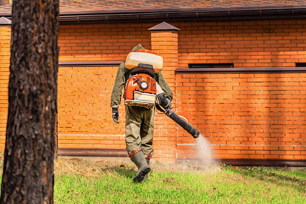 Trusted Termite Control service in Millersburg, OH - Nex Pest Control